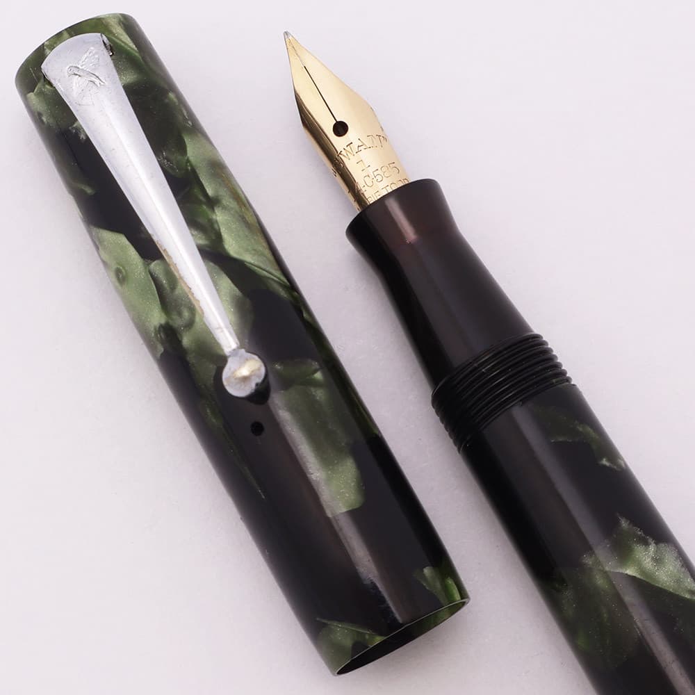 Swanie Todd Blackbird