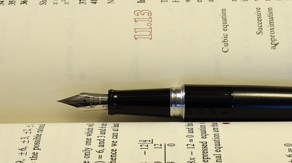 Pilot Metropolitan